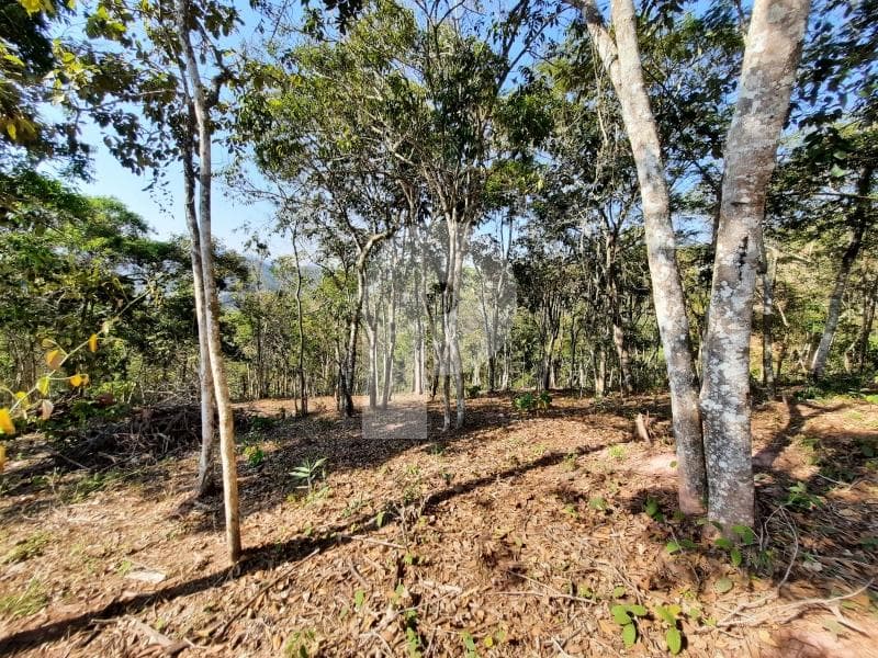Terreno Residencial à venda em Bonsucesso, Petrópolis - RJ