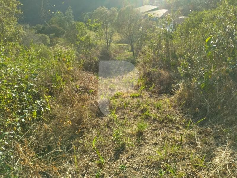 Terreno Residencial à venda em Pedro do Rio, Petrópolis - RJ