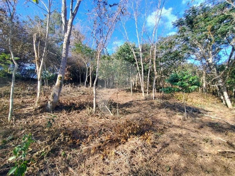 Terreno Residencial à venda em Pedro do Rio, Petrópolis - RJ