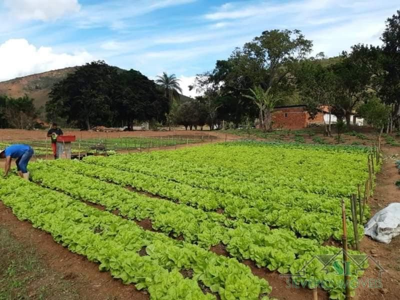 Fazenda / Sítio à venda em Gragoatá, Paraíba do Sul - RJ